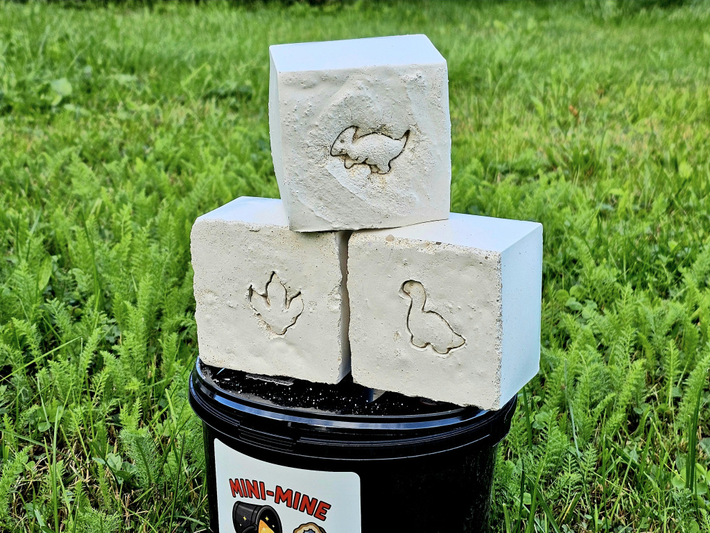 Dino Dig