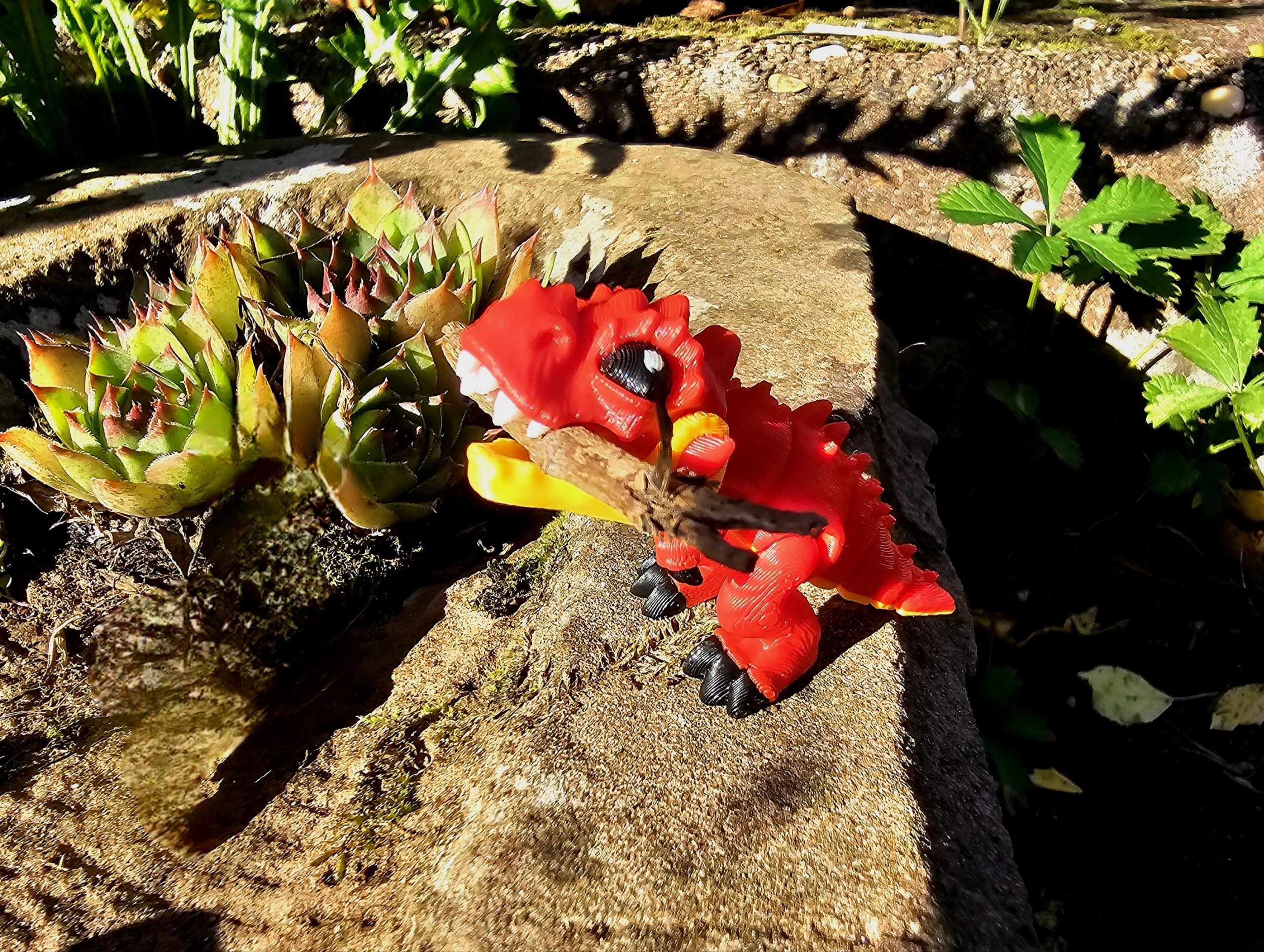 Baby Dino – Bild 3