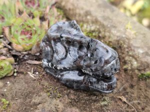 T-Rex Schädel aus Syenit aka. Yooperlit