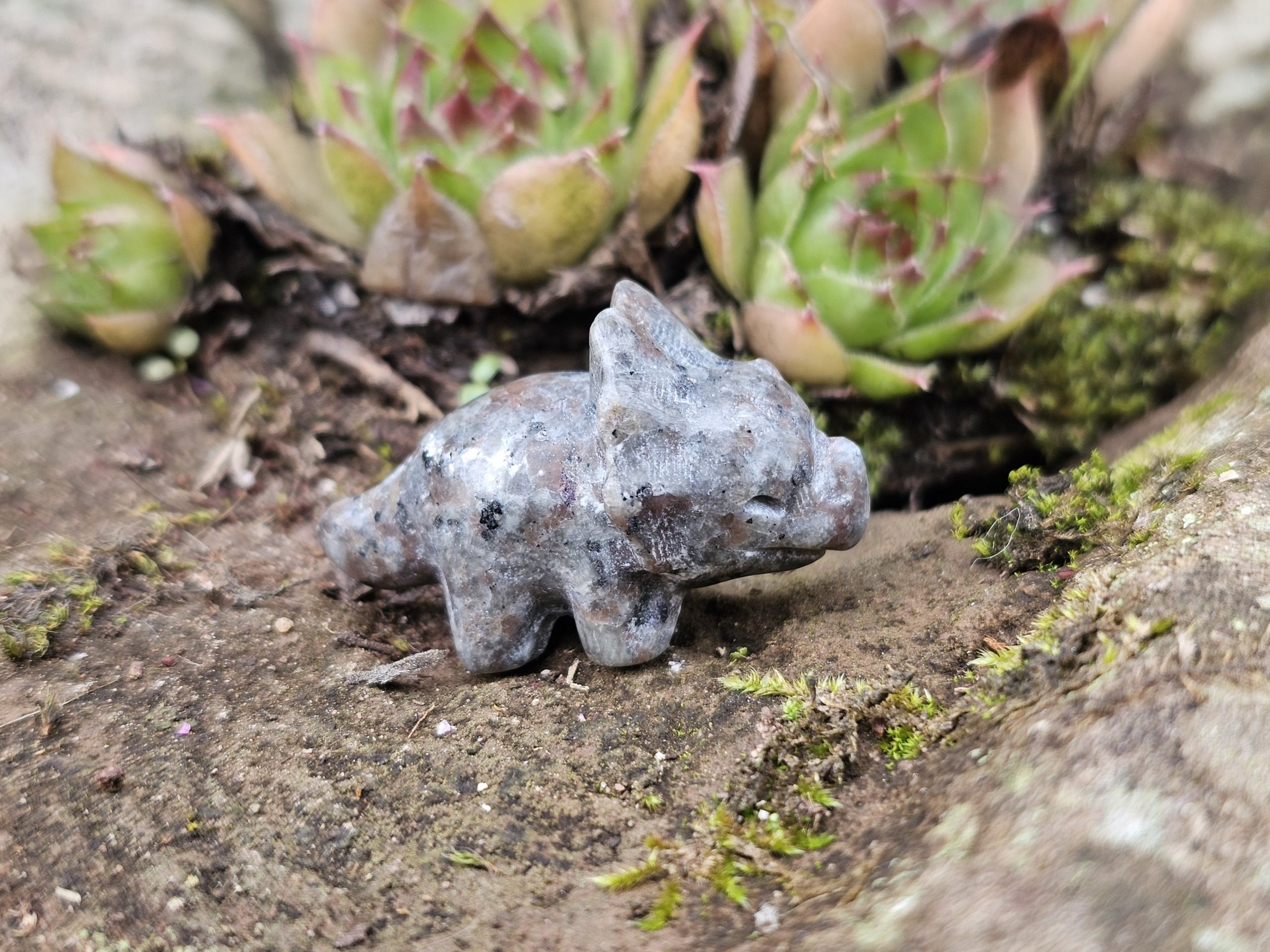 Dino aus Syenit aka. Yooperlit – Bild 4