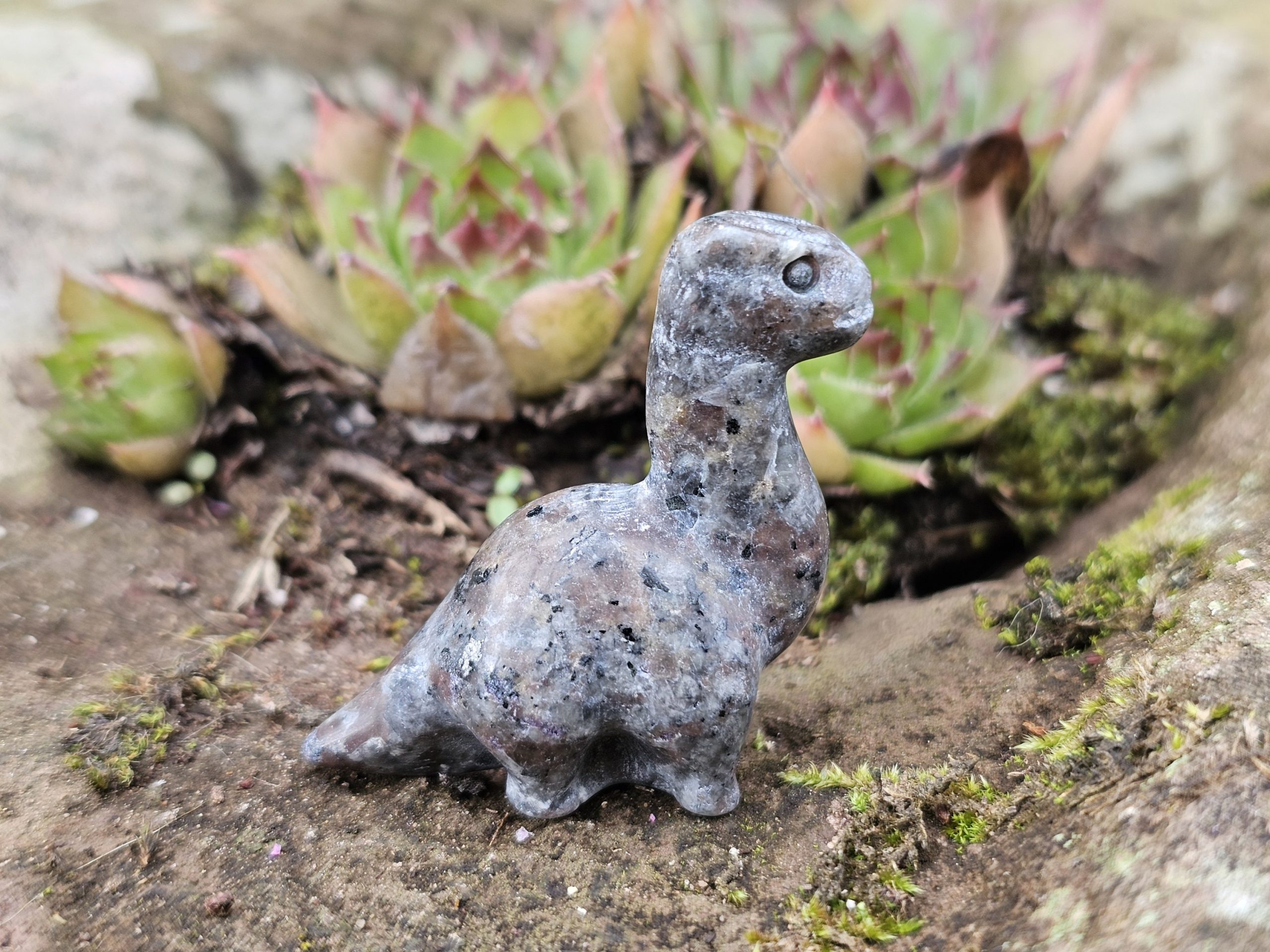 Dino aus Syenit aka. Yooperlit – Bild 3
