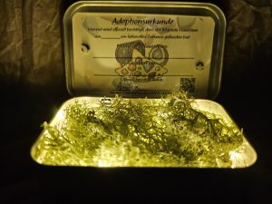 Beleuchtung für die Dose eines Haussteins