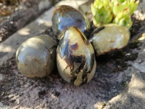 Dino-Ei (aus Septarie)